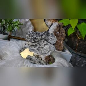 Bulgarian Quartz Galena Crystal Cluster